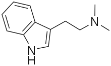 N,N-Dimethyltryptamine (DMT) a powerful psychedelic compound which is present in several plant species found across the globe, commonly found in Mimosa and Acacia species but has also been discovered in grasses such as Philaris Aquatica.