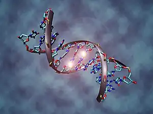 DNA methylation illustration