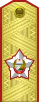 Vice marshal