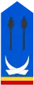 Lieutenant(Land Forces of the DR Congo)