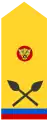 Major(Land Forces of the DR Congo)