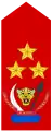 Lieutenant-général(Land Forces of the DR Congo)