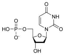 Skeletal formula of dUMP as an anion