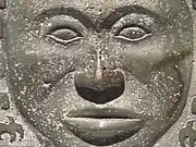 Closeup view of the human face