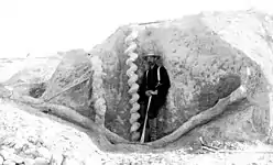 "Devil's corkscrews," Miocene-age burrows of  Palaeocastor, discovered in the late 19th century