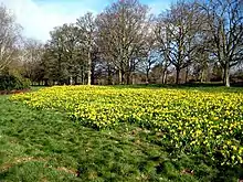 Cassiobury Park