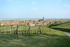 Panorama of Dambach-la-Ville, seen towards southeast and the plain