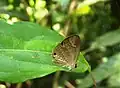 At Kozhikode, Kerala