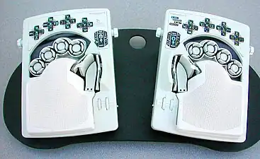 DataHand left and right entry devices