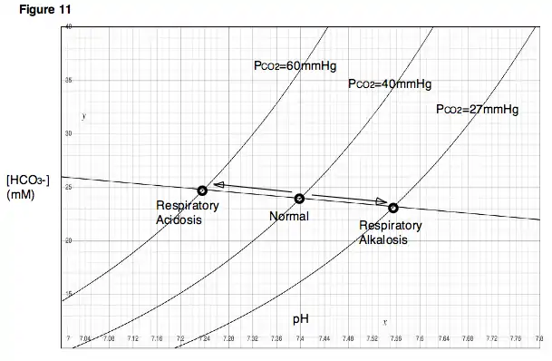 Figure 11. Alterations in ventilation may result in respiratory acidosis or respiratory alkalosis.