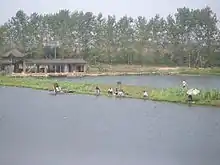 Fishing in a fish pond system at Daye Lake near Daye