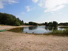 The Berkenplas