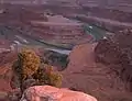 The Colorado River from Dead Horse Point State Park