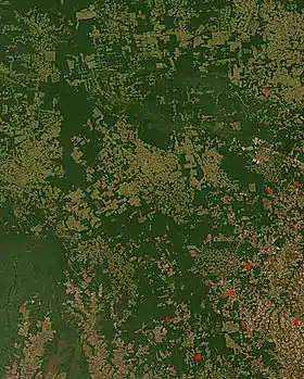 NASA satellite observation of deforestation in the Mato Grosso state of Brazil. The transformation from forest to farm is evident by the paler square shaped areas under development.