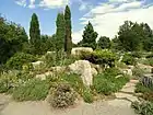 The Denver Botanic Garden offers many outdoor exhibits that showcase plants from the Western United States, especially the Rocky Mountain region