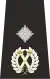 Isle of Man Police Deputy Chief Constable Epaulette