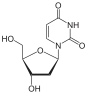 Chemical structure of deoxyuridine