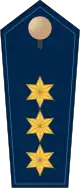 Insignias of a Polizeidirektor