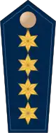 Insignias of a Leitender Polizeidirektor