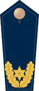 Blue epaulette with 1 golden star and oak leaves