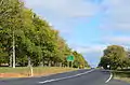 'Canadian Elm' ( = 'Canadian Giant'), Avenue of Honour, Digby, Victoria (2015), grown back after pruning