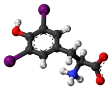 Ball-and-stick model of the diiodotyrosine molecule as a zwitterion