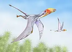 "Dimorphodon macronyx"