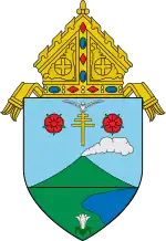 Diocese of Legazpi