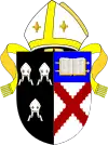 Arms of the Diocese of Meath and Kildare