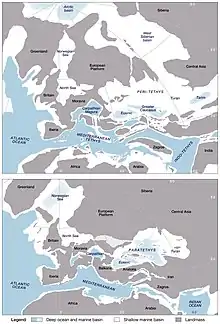 Palaeogeographical reorganization of the Tethys–Paratethys region during the Paleogene, from a connected Tethys configuration during the early Eocene (above) to a fragmented and restricted Paratethys region configuration during the Oligocene (below).