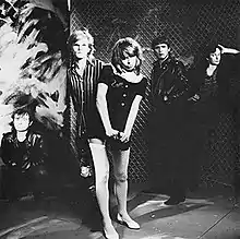 Divinyls, 1982