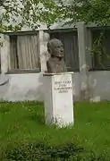 Bust in Subotica