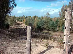 A view of the Döberitzer Heide