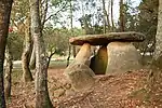 Dolmen of Oleiros, Galicia