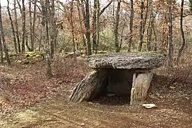 Dolmen of Finelle, in Septfonds