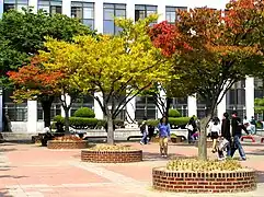 Students' square in front of the Humanities building