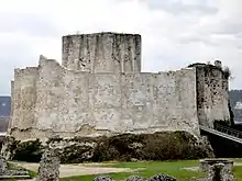 A tall pale grey wall around an enclosure and surrounded by a ditch. A modern metal bridge leads up to the entrance between two towers in the wall. A square stone tower rises above the wall.