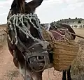 A donkey with traditional esparto panniers