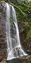 Red Cedar Falls on the Rosewood Creek Track