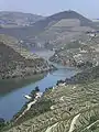 The river near Régua, Portugal