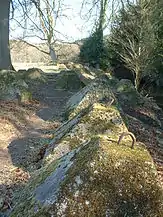 Dragon's teeth on GHQ Line near Waverley Abbey, Surrey in 2006