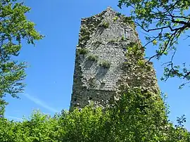 Tower of the Chateau