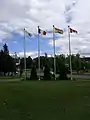 The Republic of Madawaska flag (left), flies along with the Acadian, New Brunswick and Canadian flags in downtown Edmundston, New Brunswick.