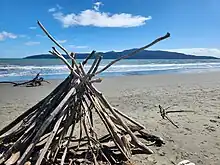 Driftwood fort with Kapiti Island in the background