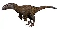 Feathered dinosaur with large head, claws and rudimentary wings