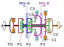 Clutch C1 is engaged during Mode 1 operation in this schematic of a dual-mode transmission