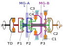 Clutches C1 and C4 are engaged during Mode 1, Gear 1 operation in this schematic of a dual-mode transmission