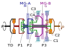 Clutch C2 is engaged during Mode 2 operation in this schematic of a dual-mode transmission