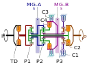 Clutches C1, C2, and C4 are engaged during Mode 2, Gear 3 operation in this schematic of a dual-mode transmission