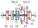 Clutches C2 and C3 are engaged during Mode 2, Gear 4 operation in this schematic of a dual-mode transmission